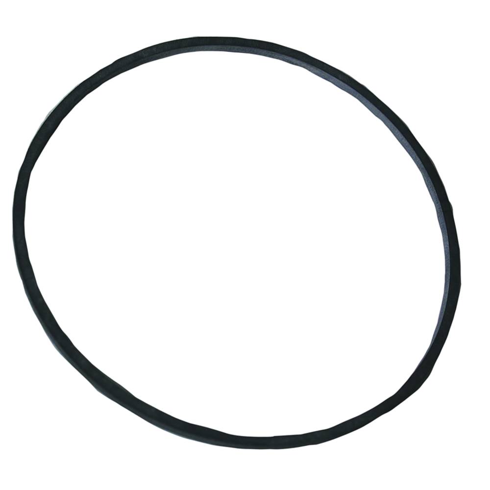 485076 Float Bowl Gasket